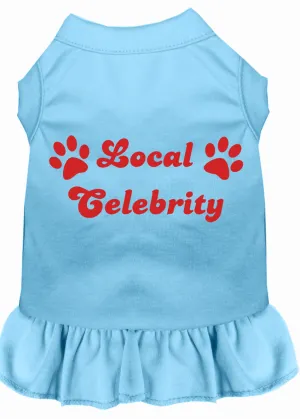 Local Celebrity Screen Print Dress Baby Blue Xl