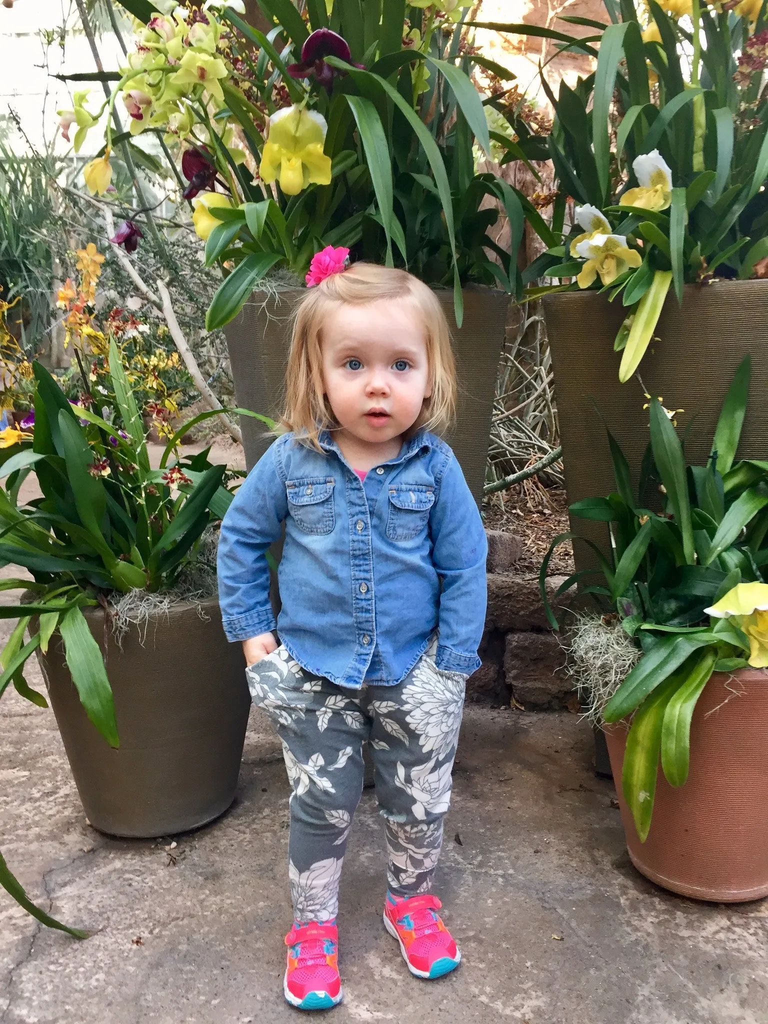 Rhapsody Joggers PDF Pattern Girls 2T-14yrs
